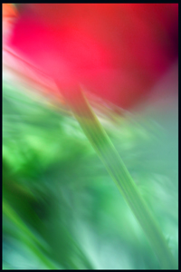 8435p
