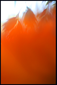 8591p