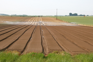 irrigation-80p